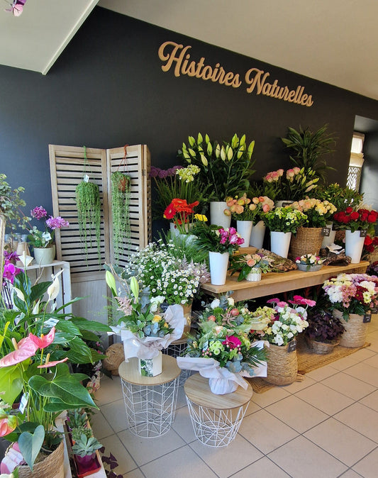 Fleuriste à Artenay 45410 Histoires Naturelles